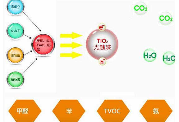 除甲醛專(zhuān)業(yè)公司